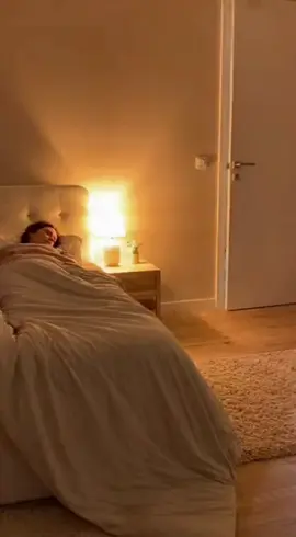 #cat #humor #realistic #funny #accordion 