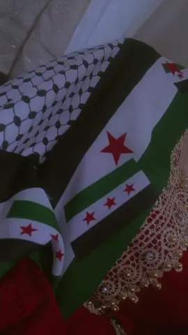 #CapCut #الحمدلله_دائماً_وابداً #قونيا________________قونيا😌💙 #اعادة_النشر🔃 #سوريه_حره 