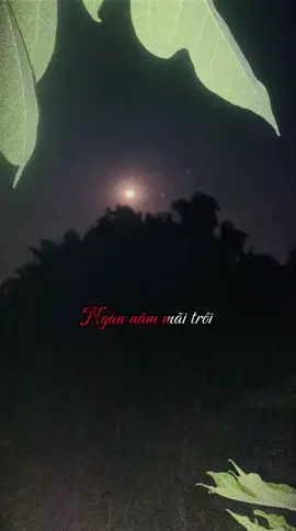 Mình thương nhau trăng sáng rồi lại vơi #nhachaymoingay #lyricsvideo #fyp #xuhuongtiktok #triinnhchiien 