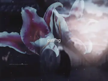 #gojosatoru + #sugurugeto | cried while making this 😭 im my own villain i guess crd : ziyuanyuan1113 & medblackcoffee on tumblr — #jjk #fyp #jujutsukaisen 