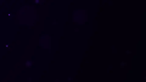 Viet Mix TikTok 2025 - Hai Người Hai Hướng Remix | Ngỡ Sẽ Là Tương Lai, Nhưng Nào Hay Giờ Anh Sai #LearnOnTikTok #ltnmusic #xuhuong #xuhuongtiktok #nhacmoimoingay 