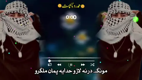 #مونگ_درنه_لاڑوحدائ_پمان_ملگرو😓  #pashtonazam #foryoupage #500kviews #hamdard_typist313  @༺✮•°||ھـــمــدرد اشــناء||°•✮༻  @꧁❤•༆$╾━╤デ╦︻ بی فروا ھلک 