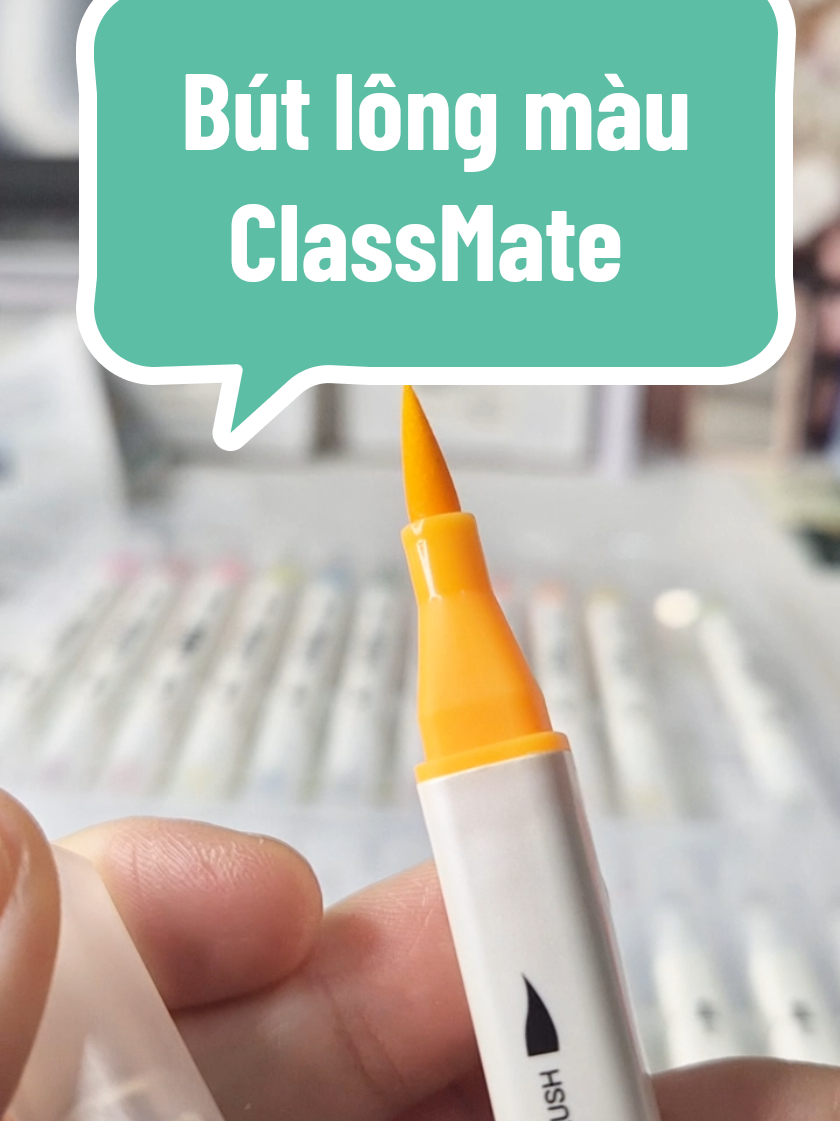 Bút lông màu ClassMate 2 tông màu cho các bạn lựa chọn, bút 2 đầu tha hồ thử sức sáng tạo#butlongmau#butmau 
