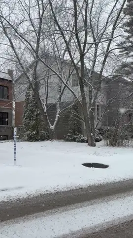Beautiful winter#fyp #fyppppppppppppppppppppppp #foryou #foryoupage #canada_life🇨🇦 