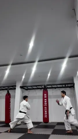 Nét #katagym #loitrankarate 