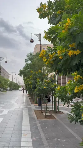 Madinah ke hawa main kiya cheez hai❓#madina #masjidnabawi #masjidilharam #saudiarabia #pakistan 