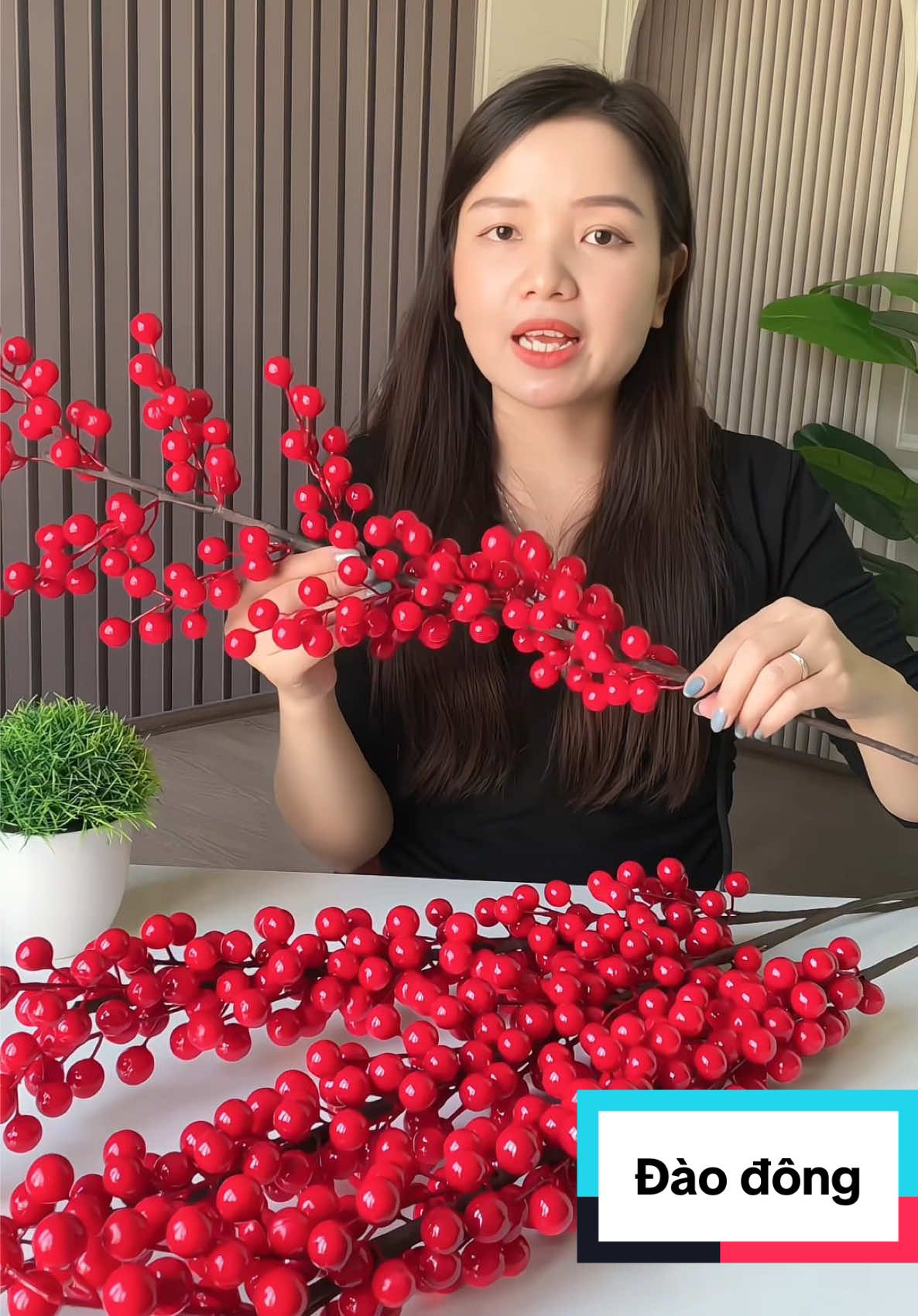 #hoaihayho #phukientet #phukientrangtritet #canhdaodong #canhdaodongdo 