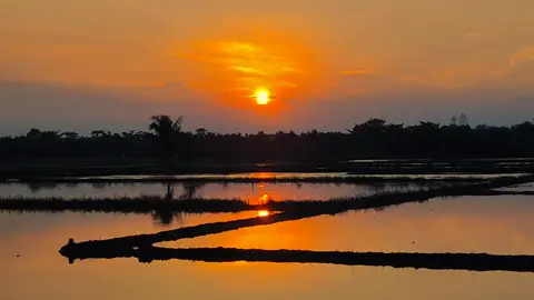 ngaku lu pada, kasian tuh tytyd nya si sarif #sunset #somebodyspleasure 