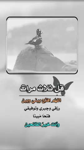 صباح الخير 🤍🤍                           كررها دائماً : ‏