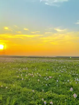 সে মানুষটা কোনোদিন জানতেই পারলো না 😊❤️‍🩹#rs_raju#foryou #foryoupage #fyp #viral 