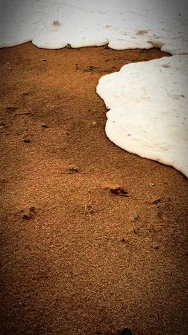 اتباع الهدى#امر_الله_كله_خير#اكسبلور