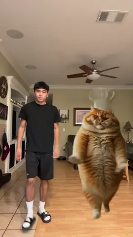 mi gatito so tuff #dance #fyp #67 #xyzbca #fatcat 
