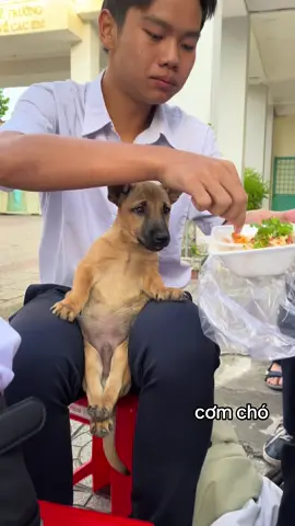 #sadstory #mukbang #lgbt #emxinhsayhi #wedding 
