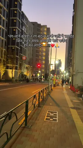 #creatorsearchinsights #offBeatNep #trueline335 