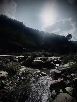 “Mọi chuyện không ngư mình hay nghĩ suy…” #nhacbuon #xuhuongtiktok #tamtrang #story #viraltiktok 