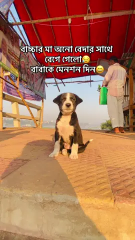 ওর মা হলো  ( খ ) 😄 #viralvideo 