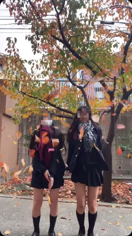 画質悪かったから上げ直し🍁 学校にちょっと紅葉あった❤︎ #紅葉#港高校 #sjk #jkブランド #fyp 