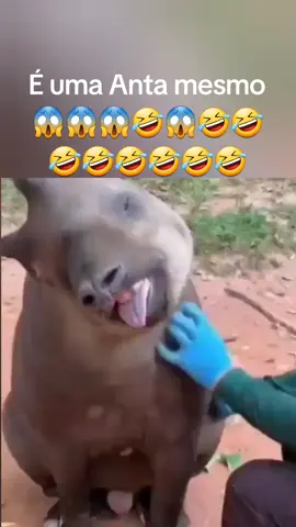 😱😱😱😱😱😱🤣🤣🤣🤣🤣🤣🤣🤣🤣🤣🤣🤣🤣🤣