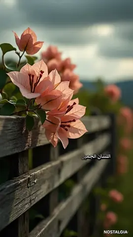 الذوقيات ليست بالمال ولا باي مظهر خارجي ،، الذوقيات احساس وتعامل جميل ..  فاللهم اجعلنا خفافًا، واجعل ألسنتنا خفيفة ، فَطيب الكلام والفعل كنز في هذه الحياة 🤍