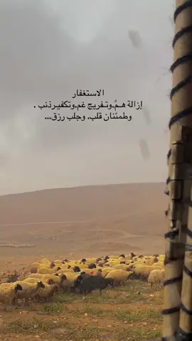 #ستغفرو_الله_لعلها_ساعة_ستجابة #اجر_لي_ولكم_ولوالدينا_وللمسلمين 