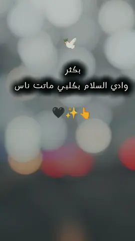 #CapCut بكثر  وادي السلام بكلبي ماتت ناس