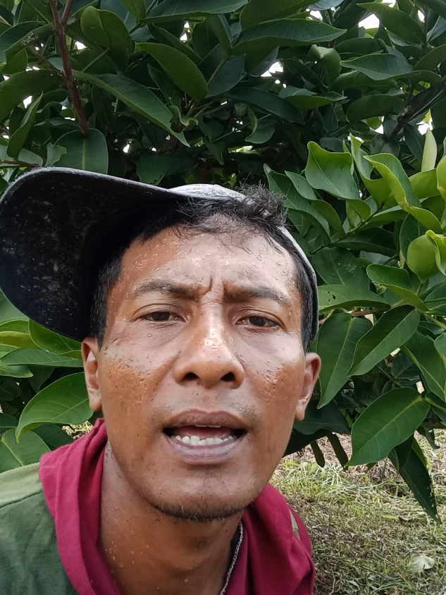 dadine kancane ben ra kaing kaing😂 #hiburan #komedi #kocak #sugiono7327 #ayahkaing2 