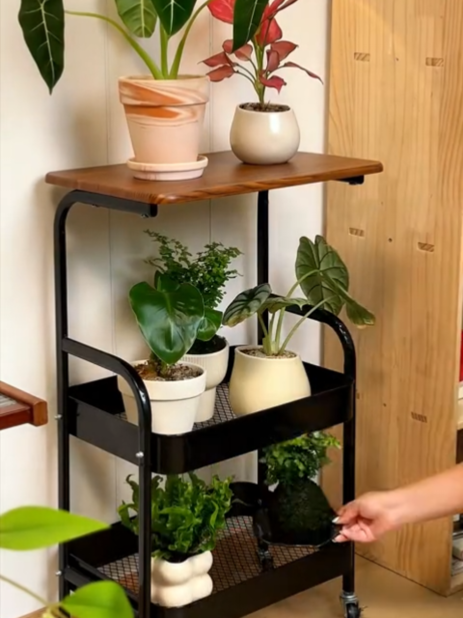 Rak Troli Susun Serbaguna #rak #raksusun #raksusunserbaguna #rakserbaguna #raktroli 