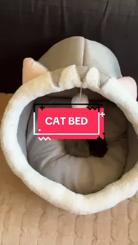 Cute Pet Bed Washable Dog Bed Soft Cat Bed Cozy Pet Sleeping Easy Clean Pet Bed Stylish Dog Bed Fleece Cat Bed Comfortable Pet Mattress Portable Pet Bed Durable Animal Bedding Pet supplies Pet essentials Pets of tiktok #PetBed #CutePetBedding #WashablePetBed #DogBed #CatBed