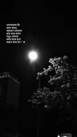 ভালোবাসা কি যখন কারও আচরণ তোমাকে  প্রায় মেরে ফেলে তবুও তোমার  হৃদয় তাকে ঘৃণা করতে পারে না!🖤🕊️ #vairal #foryou #fry #bdtiktokofficial #unfrezzmyaccount 