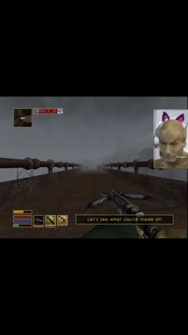 #tes #theelderscrolls #skyrim #morrowind #oblivion @numidium_II @🪷 