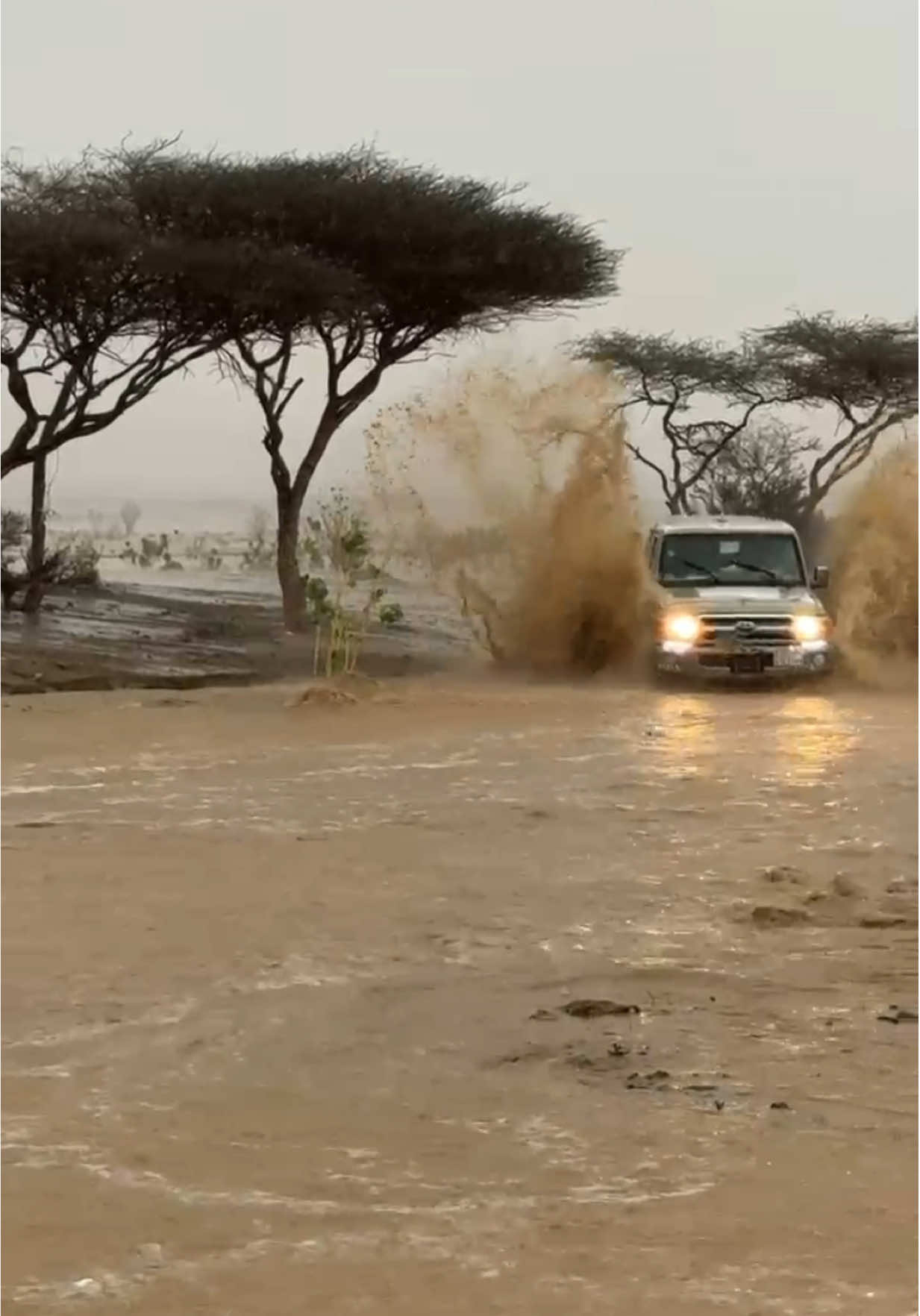 سيول املج #امطار #املج #تويوتا #مطر #الشعب_الصيني_ماله_حل😂😂 @نايف العجلان 