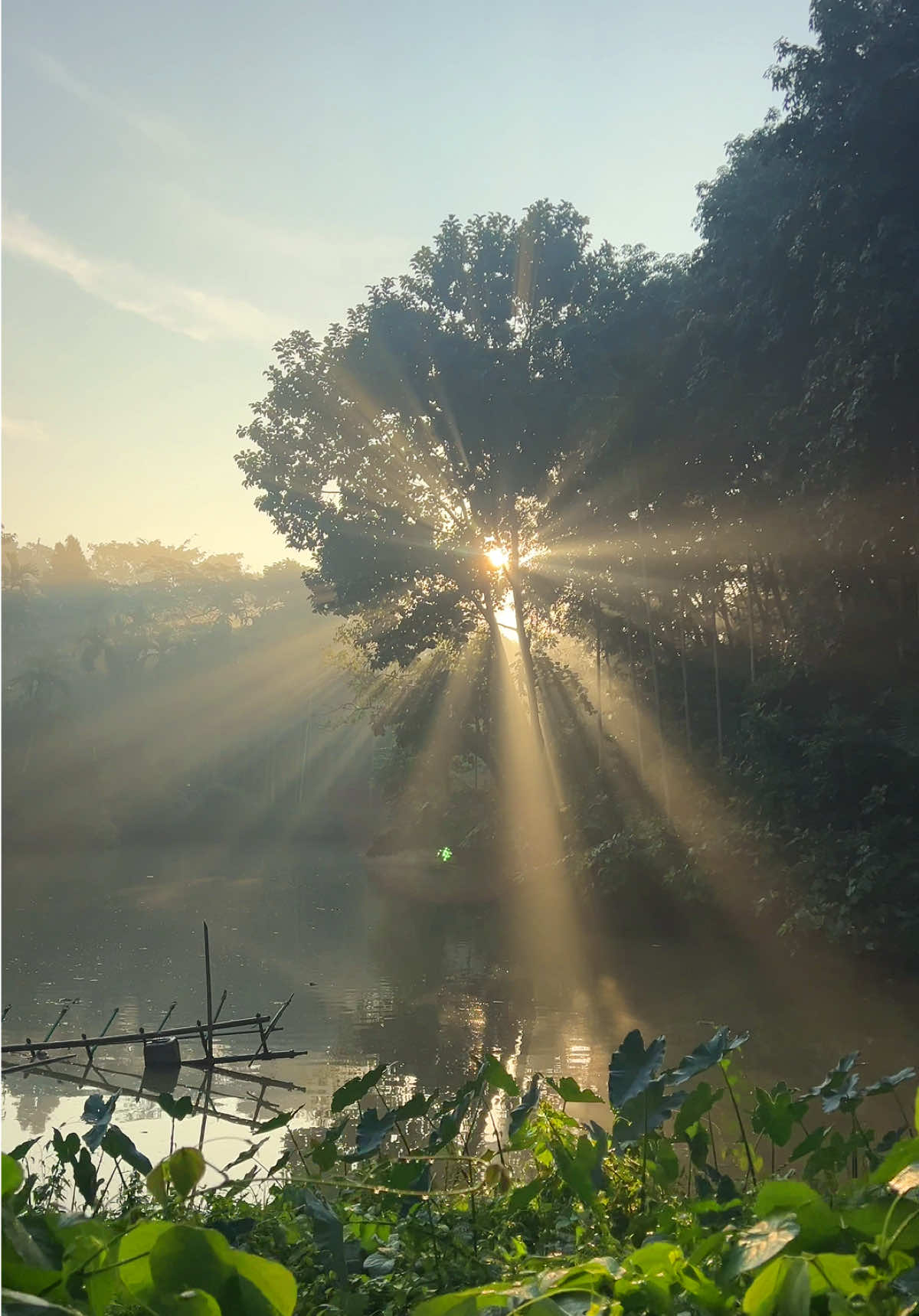 ঘুম ভাঙা কোন সকালে ✨