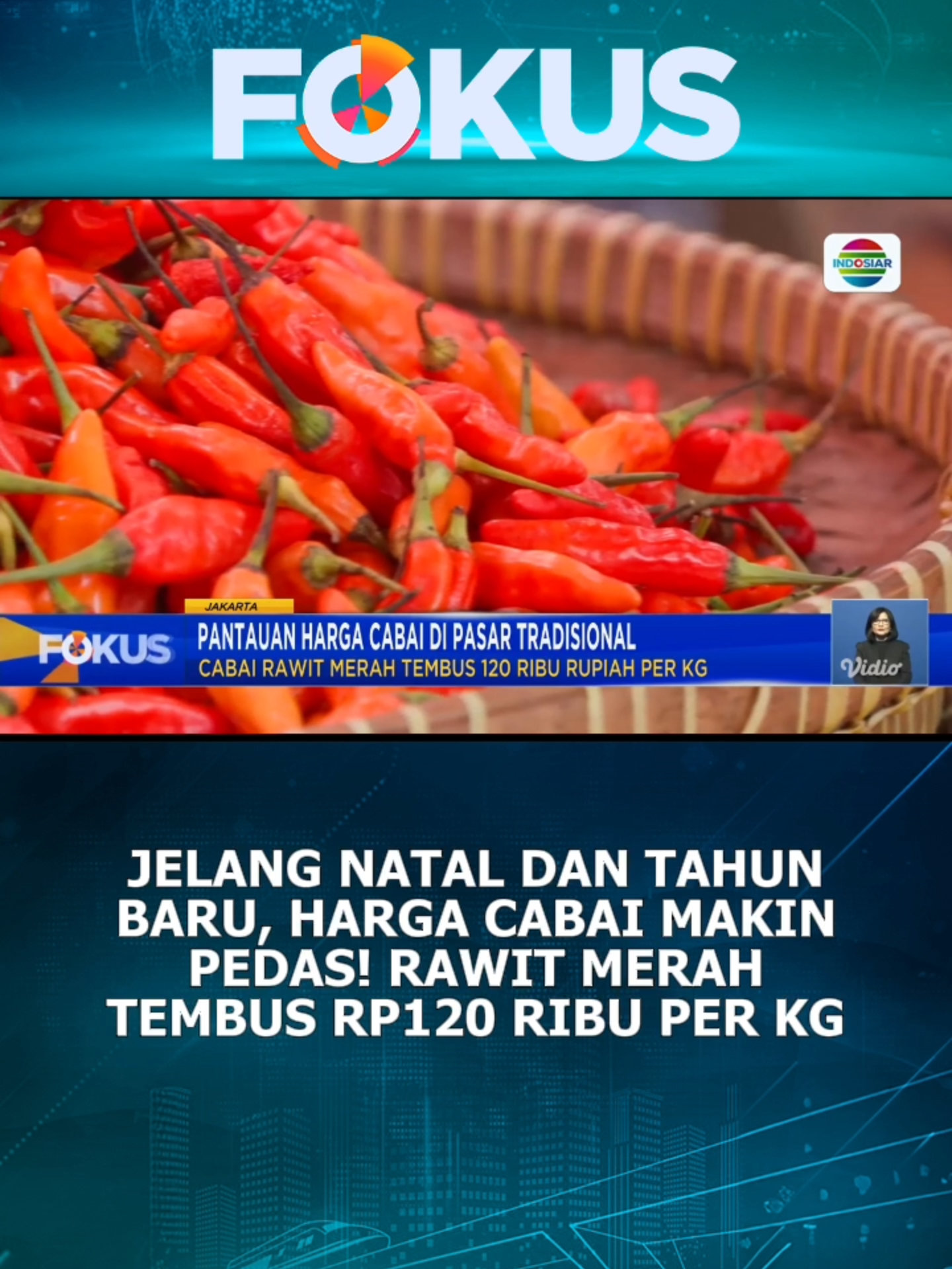 Wow harga cabai di pasaran makin pedas🌶️😳 #fokus #fokusindosiar #newsindosiar #fyp #beritatiktok #beritaditiktok