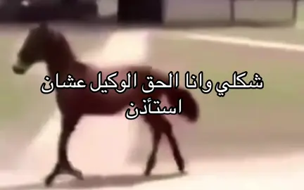 #explorerpage #explore #foryou 