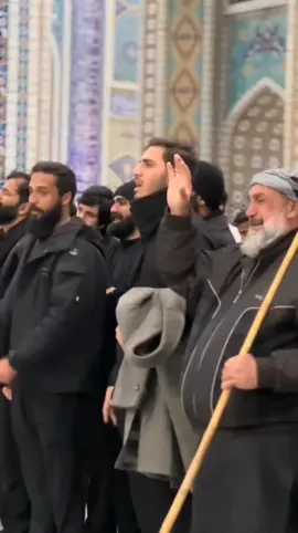 زينب يا غريبه 🥺 #امير_المحياوي #محمد_الفاطمي 