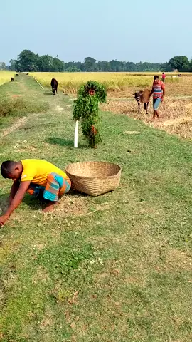 #BalliBotMogis #TrendingReels #TrendingReels #Foryoupage ##FYP #FYP #ViralTikTok #MillionViews #TechMagic #SmartBot #AITrend #RobotVibes #Innovation 