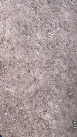 ហឹមម្ដងហើយម្ដងទៀត😔 