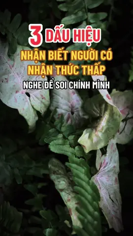 3 Dấu hiệu nhận biết người có nhận thức thấp #ngộ_để_an #phatphapnhiemmau #xuhuongtiktok #cliptrieuview #trending 