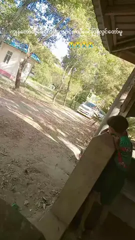 #ပြန်လွင်တော်မူသွားသောဉီးဇင်း