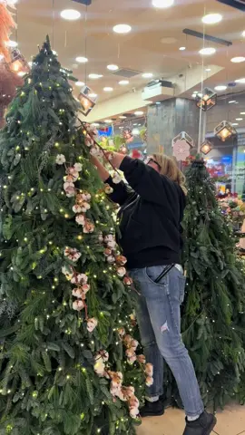 Vă așteptăm la Povestea Florilor cu cei mai frumoși brazi!!🤍  Au mai rămas 17 zile până la Crăciun!!!🎅  #povesteaflorilor #fyp #giftforchristmas🎁🎄❄️❄️ #december 