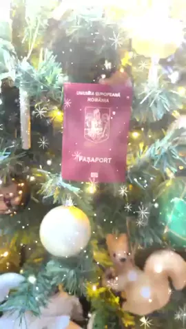 🌍Vrei să-ți petreci sărbătorile de iarnă peste hotare și nu ai pașaport? 👉🏻 Urmărește acest video! Îți prezentăm toți pașii pentru obținerea acestuia!