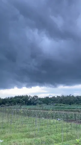 #fyppp #bjnpride #bjn24jam 