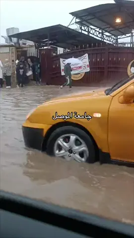 #الشعب_الصيني_ماله_حل😂😂 