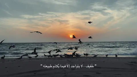 #عبارات #عشوائيات #fyp #foryou #explor 