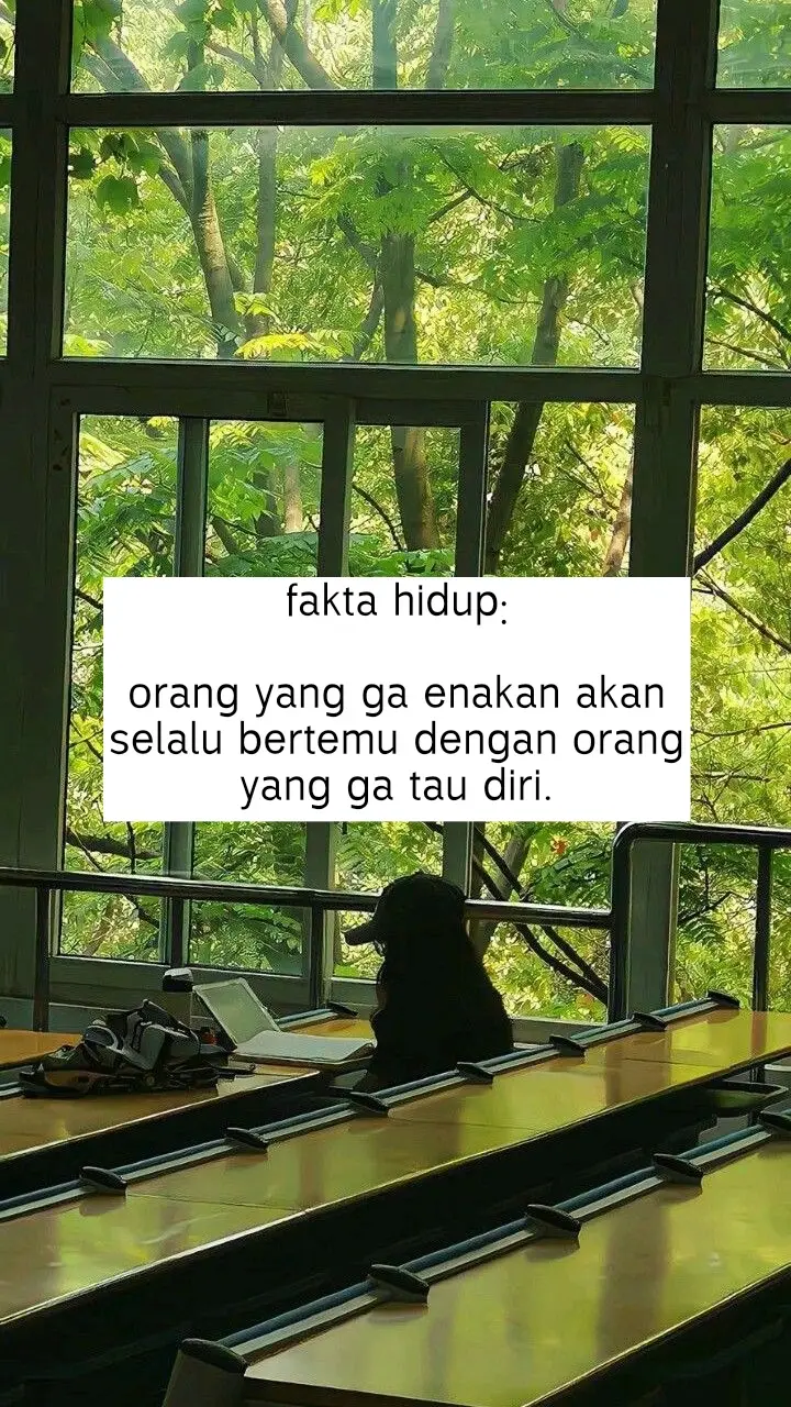 Bahan-bahan 📝: ____ - 6–8 buah pisang mengkal (pisang kepok / pisang nangka paling cocok) - 200 gram tepung tapioka - 50 gram tepung beras - 1 sdt garam - 2 sdm gula pasir (opsional, sesuai selera) - ±150 ml air - Minyak goreng secukupnya ____ Langkah Pembuatan 🍌 ____ 1. Persiapan Pisang - Kupas pisang lalu kukus ±10–15 menit hingga empuk. - Haluskan pisang selagi hangat sampai benar-benar lembut. 2. Membuat Adonan - Campur pisang halus dengan tepung tapioka dan tepung beras. - Tambahkan garam, gula, dan air sedikit demi sedikit. - Uleni hingga adonan kalis, padat, dan tidak lengket. 3. Pembentukan & Pengukusan - Bentuk adonan seperti lontong atau silinder. - Bungkus dengan plastik/daun pisang. - Kukus kembali ±30 menit sampai matang sempurna. - Angkat dan dinginkan hingga benar-benar keras (bisa disimpan di kulkas semalam agar mudah diiris). 4. Pengirisan & Penjemuran - Iris sangat tipis menggunakan pisau tajam. - Jemur di bawah sinar matahari hingga kering (1–2 hari tergantung cuaca). - Alternatif: oven suhu rendah ±60°C selama 3–4 jam. 5. Menggoreng - Panaskan minyak banyak dengan api sedang. - Goreng kerupuk hingga mengembang dan berwarna keemasan. - Angkat, tiriskan, dan dinginkan. ____ 🔥 TIPS PENTING ____ - Pisang mengkal membuat tekstur lebih renyah. - Irisan harus sangat tipis agar kerupuk mengembang sempurna. - Pastikan kerupuk benar-benar kering sebelum digoreng agar tidak keras. - Untuk variasi rasa, bisa ditambahkan: - Keju bubuk - Kayu manis bubuk - Vanili Selamat mencoba & selamat sore semuanya!! #xybca #storytime #masukberandafyp 