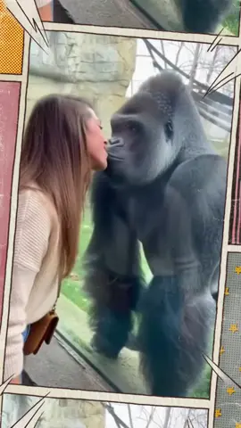 Quando la moglie è gelosa 🤣🤣🤣🤣😂😂😂😂#robby767676 #brangdebrungd #tik_tok #robby7676virall♥️ #robbyrussoneiperte💓 