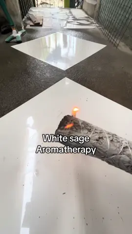 White sage aromatheraphy insenso incense #insenso #incense #whitesage #aromatherapy #fyp 