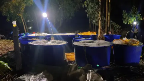 #94baclieu #võcàngtrúcmai #xuhuongtiktok #tomcangxanh #xhhhhhhhhhhhhhhhhhhhhhhhhhhhhh 