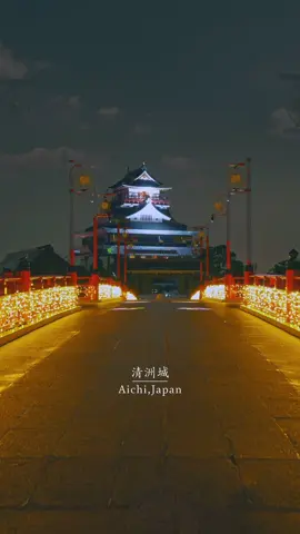 『千と千尋の神隠し』のモデルといわれる城が、冬に光へと染まる A castle said to have inspired Spirited Away glowing in the winter night 📍愛知県【清須】 / 🇯🇵Kiyosu, Aichi 清洲城と古城跡公園を舞台に行われる「きよすイルミ」。 城を包むライトアップが映え、歴史ある景観と光が重なる冬限定の演出が魅力です。 周辺には散策路や出店もあり、歩きながらゆっくり楽しめるイベントになっています。 “Kiyosu Illumi” lights up Kiyosu Castle and the historic grounds around it. The illuminated structure and light installations create a calm and atmospheric winter scene, making it an inviting spot for visitors and photographers throughout the season. 🕰 開催期間：2025/11/15（土）〜 12/25（木） ⏱ 点灯時間：17:00〜21:00（予定） 💰 入場無料 🚗 周辺駐車場あり 🎥Reel → @reo___film 📸 LUMIX S1RⅡ / S5Ⅱ #愛知#清洲城 #aichi #千と千尋の神隠し 