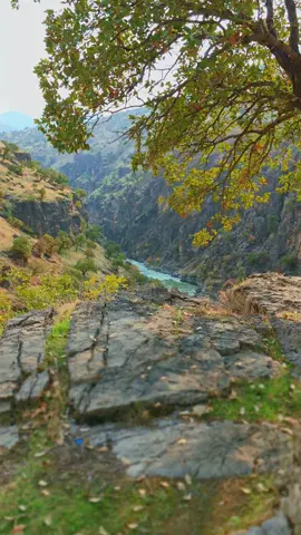 سروشتی کوردستان#hawler #slemani #halabja #foryou #fyp 